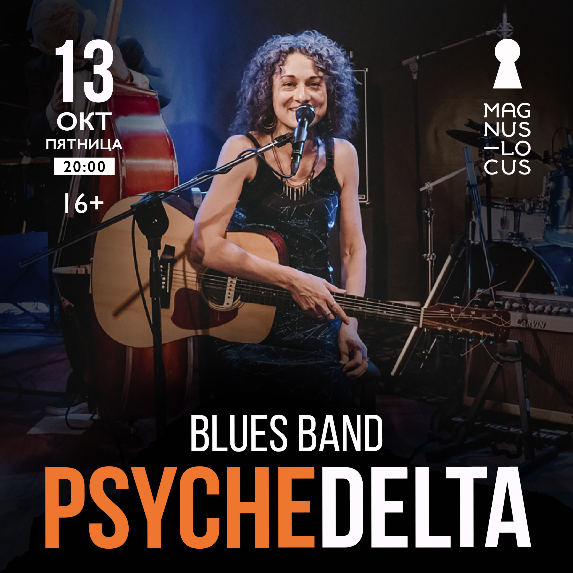 Группа PsycheDelta Blues Band